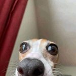 내 본진 버블말투 따라하기 맞춰<b>보</b>셈