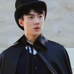 <b>세훈</b>글 쓰면 꼭 반대 한개씩 찍히더라