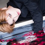 [이태용] 장미태용 <b>후후</b>