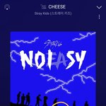 [스키즈] 버블 왜이래