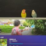 (셀카있음) 나 <b>눈</b>이랑 얼굴형 <b>개</b>이쁜듯 ㄹㅇㅠ