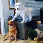 함께<b>라서</b> 더 행복한 거 맞죠?