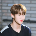 [펜타곤] 각 멤버별 ㄹㅈㄷ짤 뭐같음?