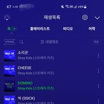 [스키즈] 네시픽 <b>포카</b> 댕예뻐