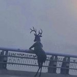 나 탈덕할까? 최애가 <b>수염</b>길러