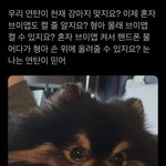 [방탄소년단] <b>태태</b>가 너무 보고싶었던 이삐…
