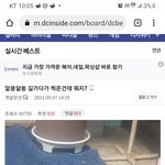 [댓글부탁해] <b>디시</b> 하다가 진짜 이상한 사진 주움