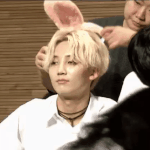 세븐틴 <b>팬매</b> 개웃김