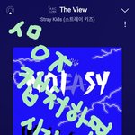 [스키즈] 네시픽 B <b>type</b>