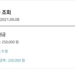<b>재난</b>지원금들어왓당