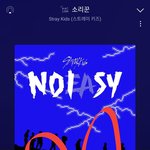 [스키즈] 공구팀에서 싱글즈 공구!!