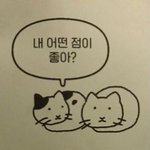 [댓글부탁해] 나 다이어트하는데 라면 먹을까