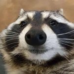 [댓글부탁해] 70b <b>컵</b>인 애들 있냠