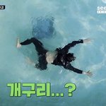 [NCT칠프] 개굴개굴개구리<b>수영</b>을한다