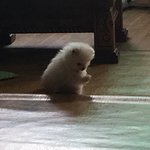 [더보이즈] 이러고 <b>핸드폰</b>만 보는 중