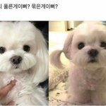 <b>엄마</b>한테 너무 <b>미안</b>하다