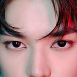 [이태용] 얘 <b>안광</b> 살린거 미친다