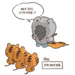 [더보이즈] 오늘 브이앱 요약이래