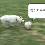 [댓글부탁해] 쌍수 많이 <b>아픔</b>????
