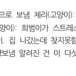 김희철 강아지고양이 <b>파양</b>