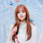 [모두드루와] 김민주 민주한테 보이그룹 이랑 엮고 외모 비교충들은...