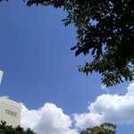 [드루와] <b>폴더</b>로 찍은 사진들 보고가