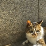 [댓글부탁해] 사진 찍은 거 봐죠