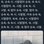 <b>악플러들</b> 신기한게