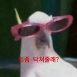 [댓글부탁해] 시.발 나 판밍<b>아웃</b>.. 했나? 할뻔?