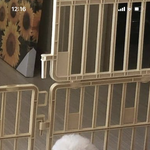 얘들아 급해 코디봐줘