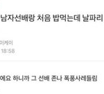 수행평가용으로 <b>바이러스</b>관한 책 제발