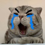 <b>원서</b>넣고 학교