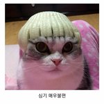 내신 2점<b>중후</b> 대학 어디가?