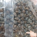 웰썸 강아지<b>사료</b> 곰팡이