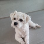 [엔하이픈] 정원이 <b>퇴소</b> 축하 마음이도 너무 귀여움