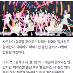 하이브에서 사쿠라,김채원 다음 누구임?