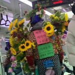 [댓글부탁해] 하 꿈이 없다