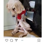 우리 학교 3학년 남자 선배 중에