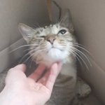 [TXT] <b>호박</b>이