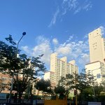 아니 <b>코로</b> 김치찌개 나옴
