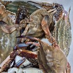 [빡침주의] 안양농수산물<b>도매</b>시장에서 사기당했습니다.