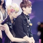 <b>세후</b>니 배켜니
