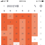 고2 자퇴생 7/19부터 한 것