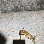 이거뭔가요?