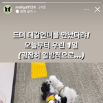 [NCT즌] [속보] 종대갈 이해찬이랑 헤어짐