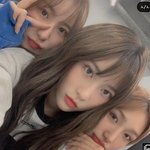 로잘린개<b>조아</b> ㅜ