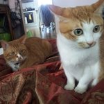 왜 자연<b>계열</b>이 인문<b>계열</b>보다 등급이 높을까