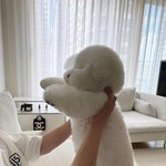 [NCT칠프] 아 귀엽다 <b>비숑</b>