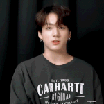 [엔터톡] <b>칼하트</b> 매니아 정국