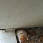 나 고3인데 고1때 <b>서연</b>고 갈 거라고 ㅈㄴ 열심히 했거든?